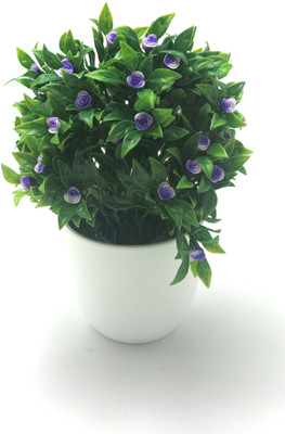 

Importwala Green, Blue Assorted Artificial Flower with Pot(8.5 inch, Pack of 1)