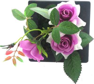 

Importwala Purple Rose Artificial Flower with Pot(6 inch, Pack of 1)