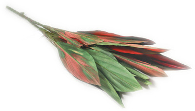 

Importwala Red Assorted Artificial Flower(30 inch, Pack of 1)