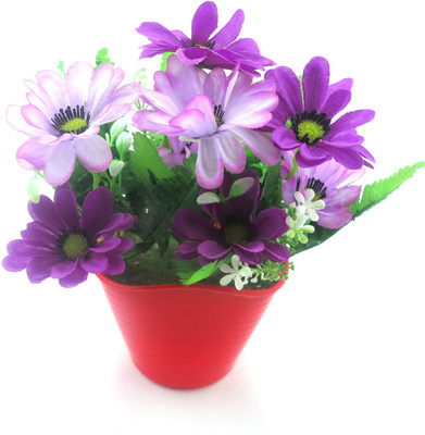 

Importwala Purple Assorted Artificial Flower with Pot(7 inch, Pack of 1)