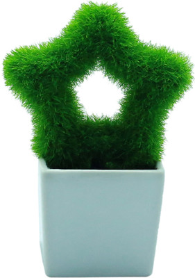 

Importwala Green Assorted Artificial Flower with Pot(5 inch, Pack of 1)