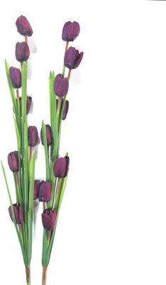 

Importwala Purple Tulips Artificial Flower(38 inch, Pack of 2)