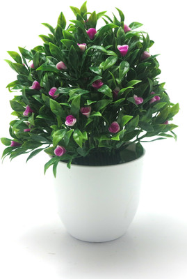 

Importwala Green, Purple Assorted Artificial Flower with Pot(8.5 inch, Pack of 1)