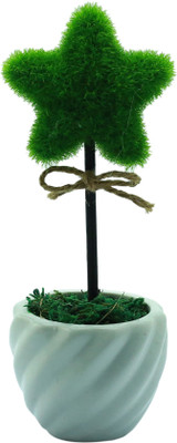 

Importwala Green Assorted Artificial Flower with Pot(8 inch, Pack of 1)