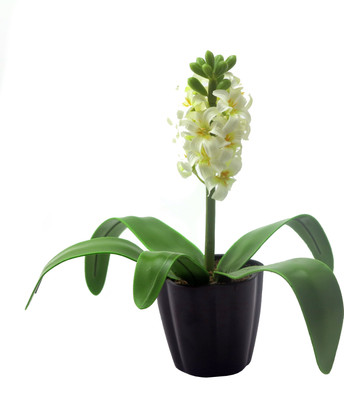 

Importwala White Orchids Artificial Flower with Pot(11.4 inch, Pack of 1)