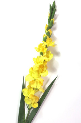 

Importwala Yellow Assorted Artificial Flower(44 inch, Pack of 1)