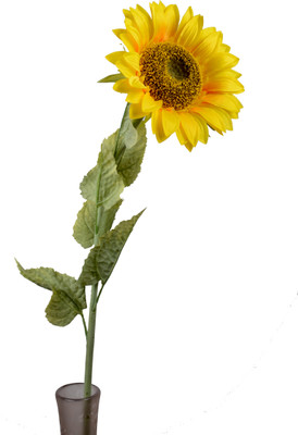Importwala Yellow Sunflower Artificial Flower(51 inch, Pack of 1)