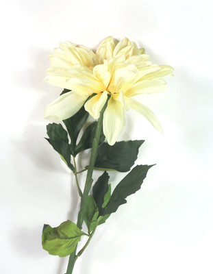 

Importwala White Assorted Artificial Flower(31 inch, Pack of 1)