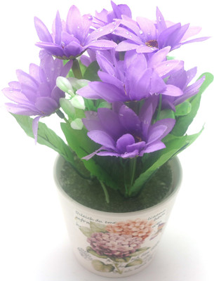 

Importwala Purple Gerbera Artificial Flower with Pot(7.25 inch, Pack of 1)