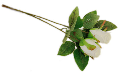 

Importwala White Rose Artificial Flower(17.7 inch, Pack of 2)