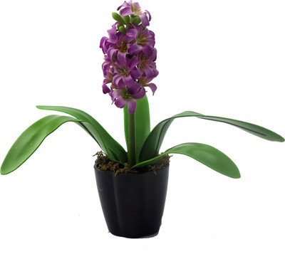 

Importwala Purple Orchids Artificial Flower with Pot(11.4 inch, Pack of 1)