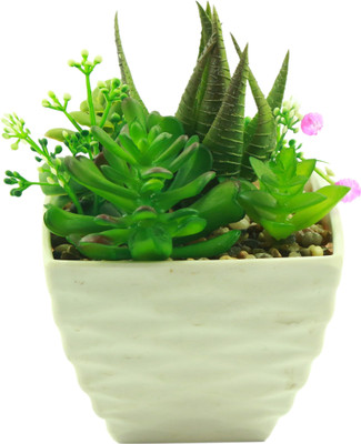 

Importwala Green, White Assorted Artificial Flower with Pot(6 inch, Pack of 1)