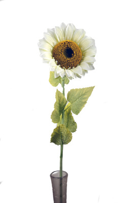 

Importwala White Gerbera Artificial Flower(51 inch, Pack of 1)