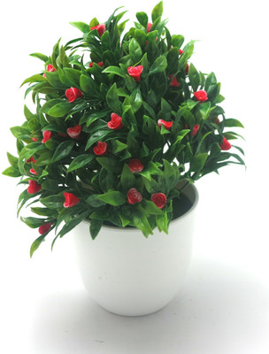 

Importwala Green, Red Assorted Artificial Flower with Pot(8.5 inch, Pack of 1)