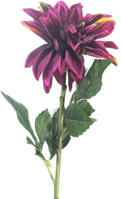 

Importwala Purple Assorted Artificial Flower(31 inch, Pack of 1)
