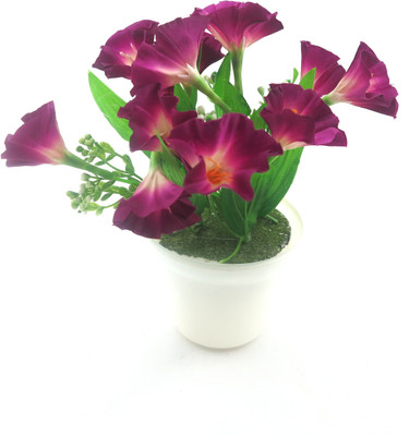 

Importwala Purple Assorted Artificial Flower with Pot(7 inch, Pack of 1)