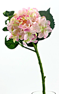 

Importwala Pink Assorted Artificial Flower(18 inch, Pack of 1)