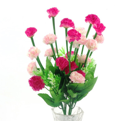 

Importwala Pink, White Carnations Artificial Flower(15 inch, Pack of 1)