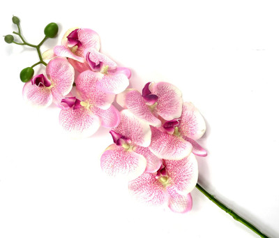 

Importwala Pink Orchids Artificial Flower(40 inch, Pack of 1)