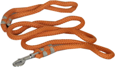 Pethub Standard Nylon Leash 15 mm 170 cm Dog Cord Leash(Orange)