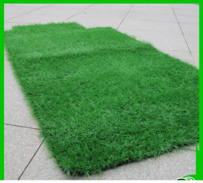 shyam enterprises Plastic Door Mat(Green, Large)