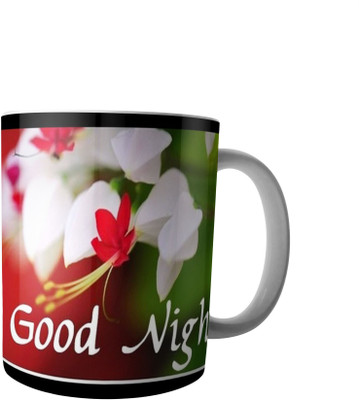 

RD Creations Specially Designs Good Night Wishes for Special People in Your Life PWMGN082017M72 Ceramic Mug(300 ml), Multicolor