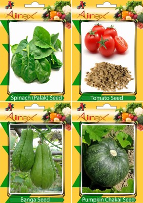 Airex Spinach (Palak), Tomato, Banga, Pumpkin Seed(25 per packet)