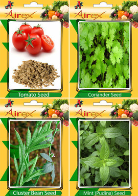 Airex Tomato, Coriander (Dhaniya), Cluster Bean, Mint Seed(25 per packet)