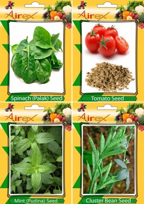 Airex Spinach (Palak), Tomato, Mint (Pudina), Cluster Bean Seed(20 per packet)