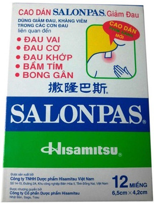 

salonpas Plaster Pain Relief Patch (12 Patches) Plaster & Patch(20 g)