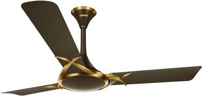 

Luminous Deltoid 3 Blade Ceiling Fan(Expresso Gold, Pack of 1)