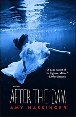 After the Dam(English, Paperback, Hassinger Amy)