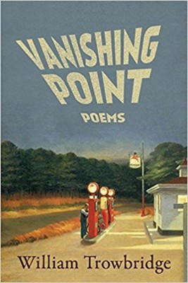 Vanishing Point(English, Paperback, Trowbridge William)