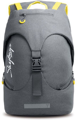 

Skybags 18 inch Laptop Backpack(Grey)