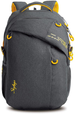 

Skybags 18 inch Laptop Backpack(Grey)