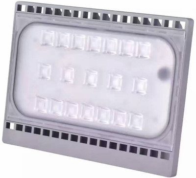 

Bigapple Flood Light Outdoor Lamp