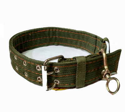 

Sollar's Green Army Color Nylon Elegant Look Dog Everyday Collar(, Green