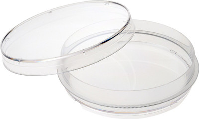 

mLabs Polystyrene Disposable Petri Dish(150 mm Pack of 12)