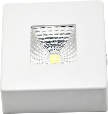 

Active 4 Watts Led PKW Surface Flush Mount Ceiling Lamp