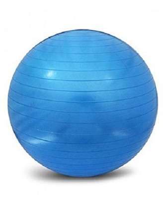 

Iris Anti Burst Gym Ball(With Pump), Multicolor