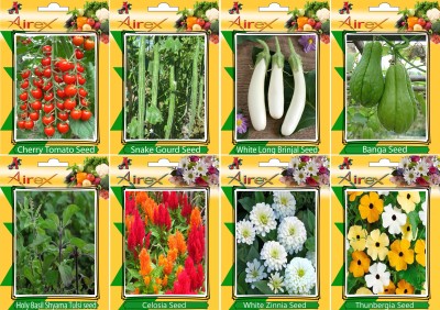 Airex Tomato Cherry, Snake Gourd, White Long Brinjal, Banga, Holy Basil (Shyama Tulsi), Celosia, White Zinnia, and Thunbergia Seed(20 per packet)