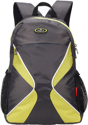 

Cosmus 3D - Grey 26 L Backpack(Grey)