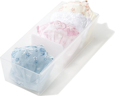 

Like-it Lingerie Storage Case, Travel Case(Bra and Panty, Pack of 1)