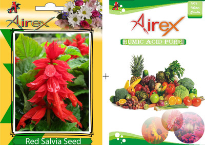 

Airex Red Salvia Winter FLower Seeds + Humic Acid Fertilizer (For Growth of All Plant and Better Responce) 15 gm Humic Acid + 20 Seeds Per Packet Seed(20 per packet)