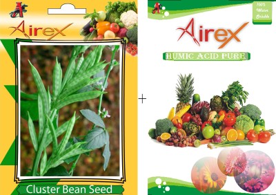 Airex Cluster Bean (Guarphali) Vegetables Seeds + Humic Acid Fertilizer (For Growth of All Plant and Better Responce) 15 gm Humic Acid + 20 Seeds Per Packet Seed(20 per packet)