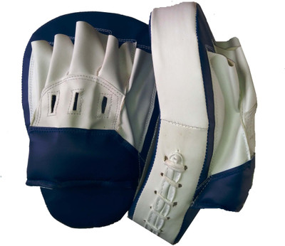 

Arnav BOXING/MARTIAL/KARATE Curved Focus Pad(White, Blue)