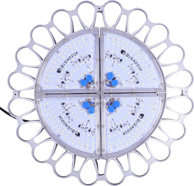 

Bigapple Flood Light Outdoor Lamp