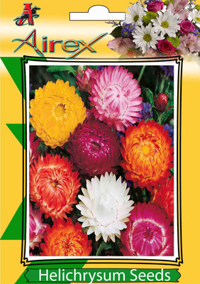 

Airex Helichrysum Winter Flower Seeds (2 Packet Of Helichrysum) Pack Of 50 Seeds * 2 Per Packet) Seed(100 per packet)