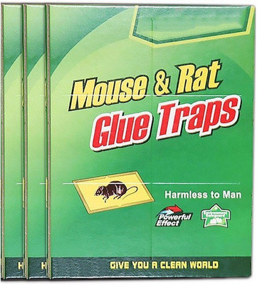 

xeekart Rat and Mouse Trap Rat Glue Mouse Insect Rodent Lizard Trap Rat Catcher Adhesive Sticky Glue Rat Pad Mouse Glue Pack of 3 Live Trap