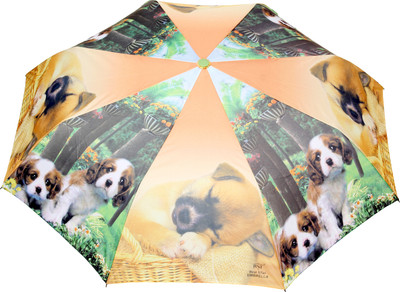 

FabSeasons Fancy Printed Umbrella for Rains and All Seasons Umbrella(Green, Yellow)